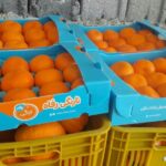 0cc535ac-cded-44de-9e7c-c05085c73dd3