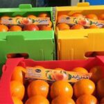 1c41592f-3b75-4b1e-ab6f-7c5e4a97f4dd