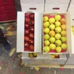 20b18eba-0fd7-40b4-a983-f285602edb9f