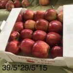 36cc8c3b-b4c7-4b65-8652-fc0ba43eb1bd