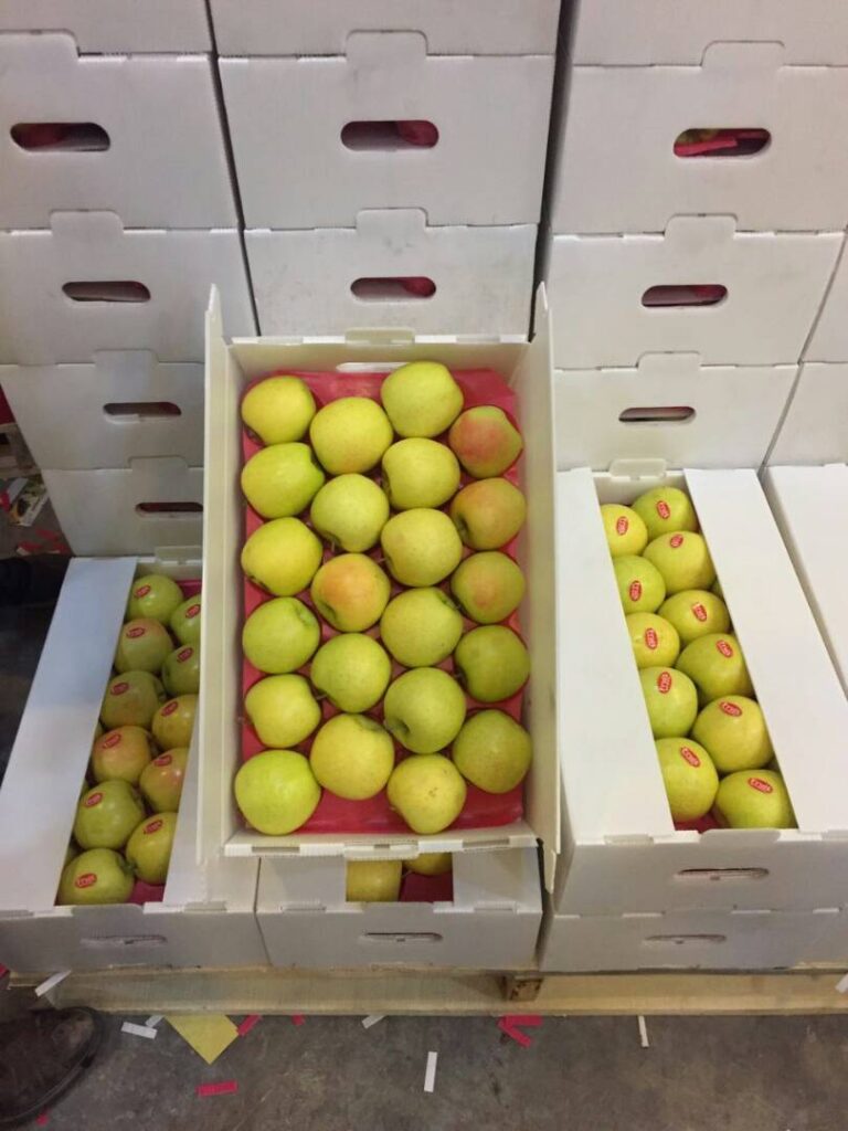 44e72d43-a9ec-4254-9f5a-61a5fa85613d