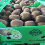 5d84b608-6974-4561-a8fb-2df14c74c1b0