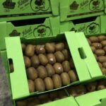 b7159ffe-8ed3-457b-9c88-7e46eae11cdd