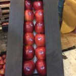 c623d220-1378-4528-94c5-eb13f108df65